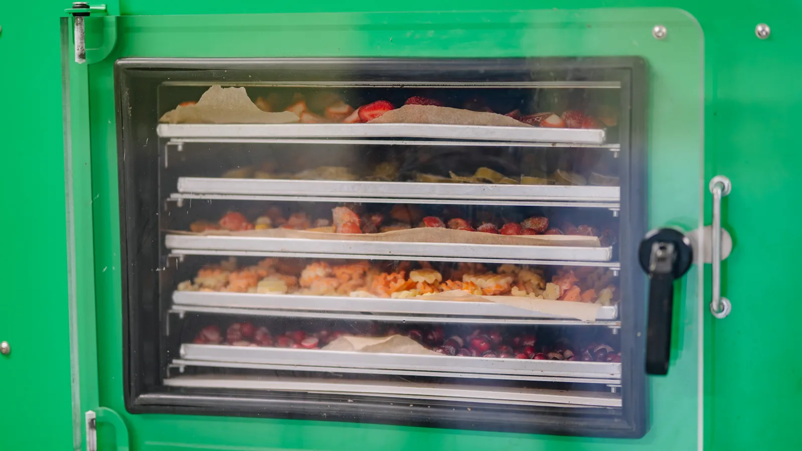 The clear inner door of a green home freeze dryer, closed over five stacked trays of part-dried fruit.
